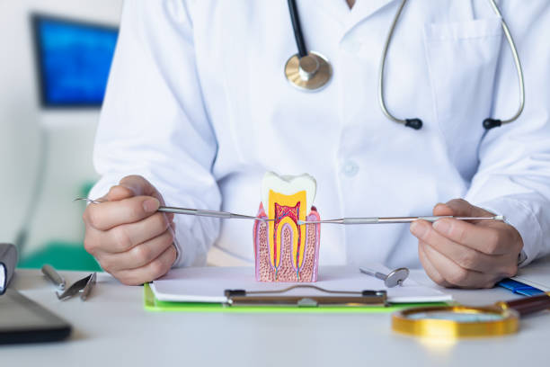 Best Emergency Treatment for Toothache in Santa Ynez, CA